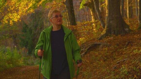 特写:日落时分一名白人老妇沿着一条风景优美的森林小径散步