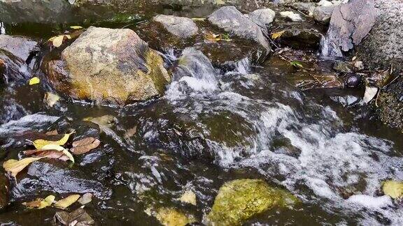 慢动作观看小溪水流
