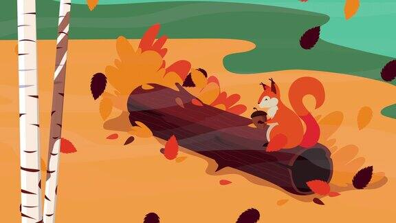 你好秋季动画与松鼠和坚果在树干森林场景