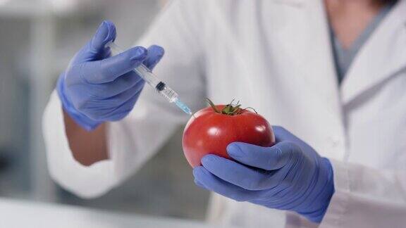 含有转基因番茄的注射器