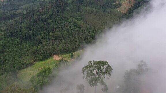 鸟瞰雾覆盖在攀崖山谷的考凯努视点