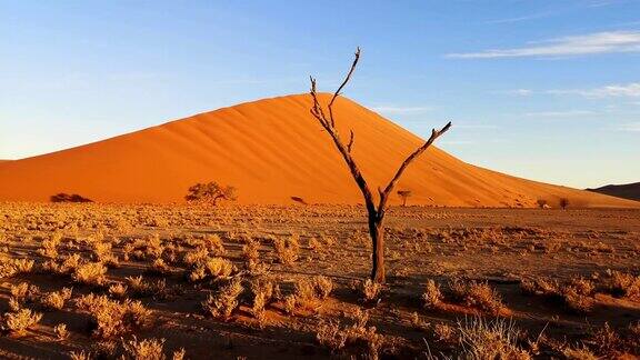 纳米比亚Sossusvlei地区沙丘与死亡的山谷在前景4k视频