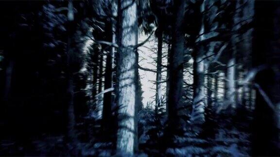 运动中的相机拍摄于野外森林的夜晚银色的月光穿透大树和冷杉的树冠照亮了树木的树枝和树干