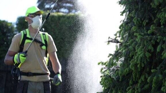 配备专业杀虫剂喷洒设备的白种园丁园林植物杀虫剂