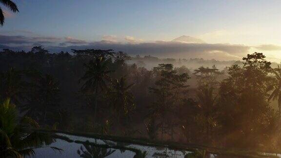 无人机拍摄的印尼巴厘岛Tampaksiring稻田的日出
