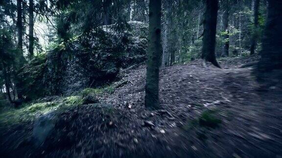 在森林里的小路上行走的个人视角