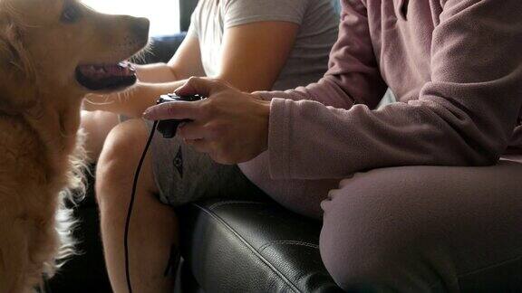 近距离拍摄的年轻夫妇的手与操纵杆或游戏手柄玩视频游戏并有乐趣在沙发上