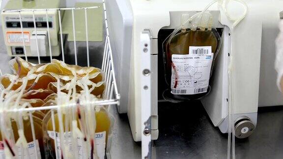 实验室负责过滤血液和血浆的年轻护士