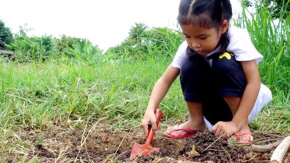 一个女孩独自在地上种一棵树生态环境保护理念