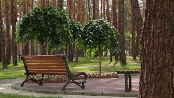 公园里的长椅和树木