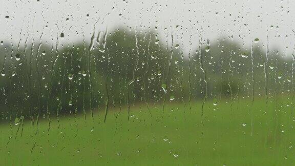 小雨打在玻璃上夏天的雨雨滴沿着窗户落下外面雨窗口淋浴坏天气平静放松的冥想宁静的背景雨天秋天忧郁悲伤孤独