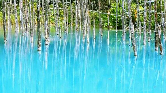 蓝色池塘美丽的地方在日本