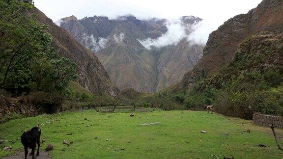 秘鲁印加古道沿线的农场
