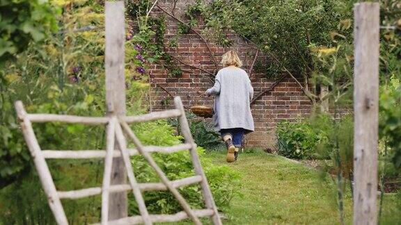 拎着篮子的女人在后院照料花园