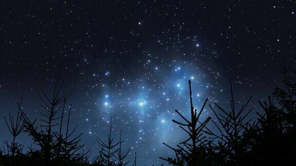 昴宿星在森林上空升起