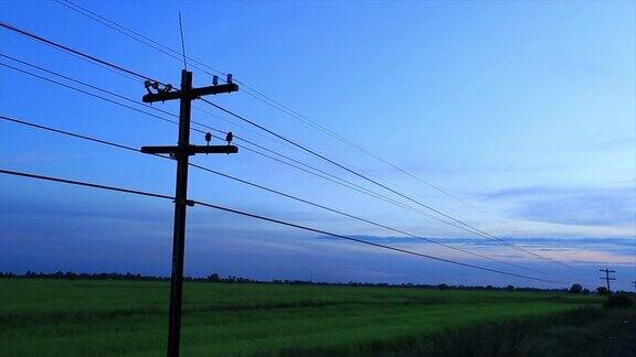 电线杆光纤电缆日落景观