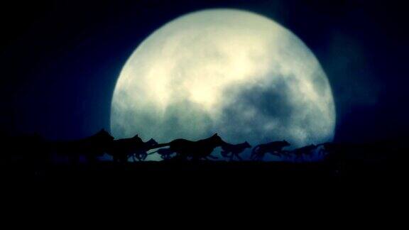 大群狼在满月之夜奔跑