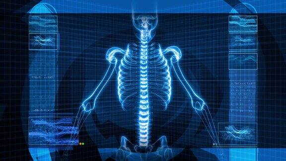 人体脊柱x光片(HD)