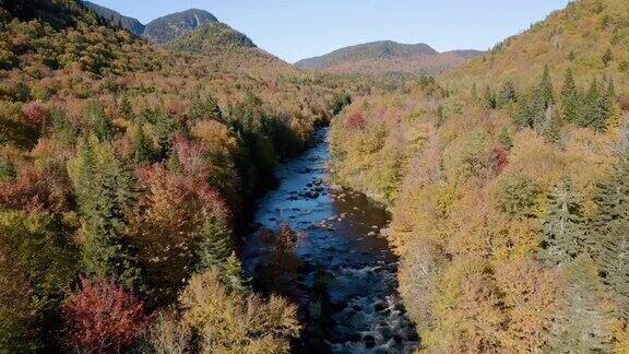 鸟瞰图的北方森林自然和河流在秋季