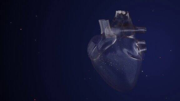 4k真人心脏隔离视频心脏系统