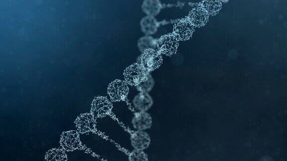 组装和散射一个旋转丛DNA链-蓝色版本