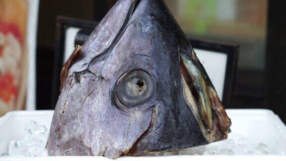 日本鱼市拍卖蓝鳍金枪鱼头