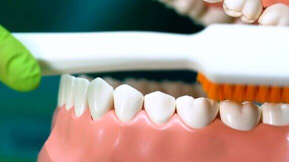 专业牙医讲解如何正确清洁牙齿保持口腔卫生