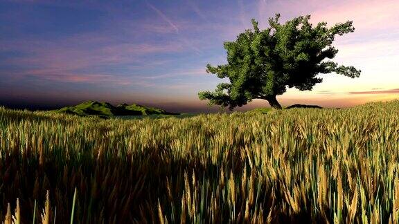 日落时的树和草