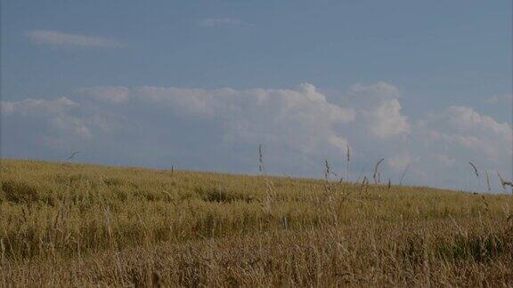 夏季农田上空积云的时间间隔