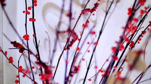 在暮色中在白色的背景下在摇曳的光线中树枝上长着鲜红的浆果花店-工作室的装饰元素