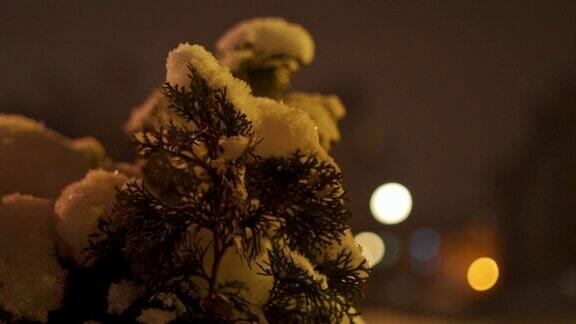 下雪的时候美丽就在我们身边