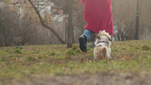 女士沿着绿色的公园草地和希兹狗跑