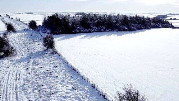 在冬天雪地里的农田上旅行