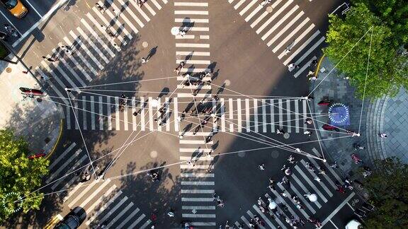大城市的人行横道我们身边的科技