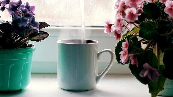 把开水倒进杯子里一杯咖啡一杯茶一杯热饮在窗台旁边的一盆漂亮的家里花