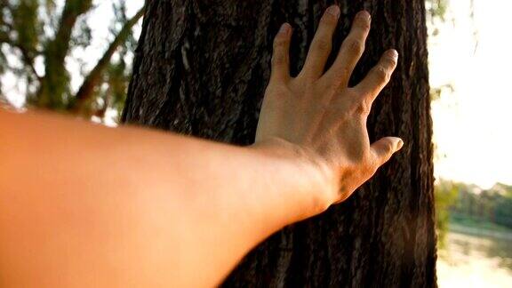 用手抚摸树感受自然