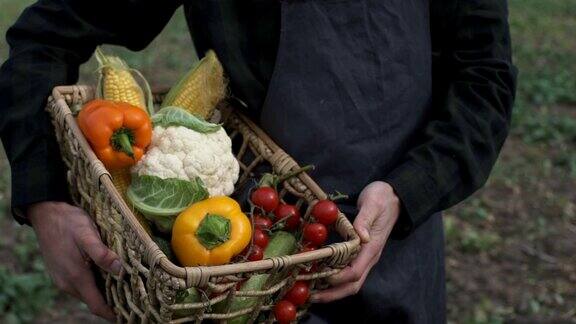 农夫拿着一盒新鲜采摘的有机蔬菜