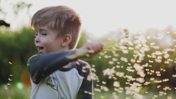 小男孩在公园里玩蒲公英