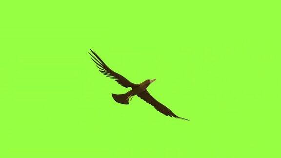 3D动画的鸟是飞翔在天空的循环循环动画与绿色背景alpha键光与3D渲染