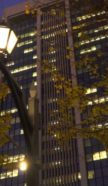 办公区域的冬季黄昏:办公楼的照明