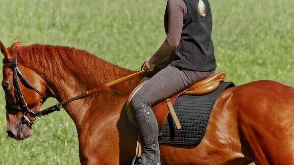 SLOMOTSTU女骑手在大自然中轻松地骑马