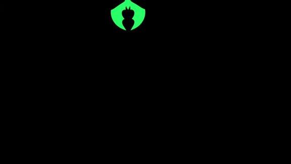 动画黑色蝙蝠在绿色背景上单独飞行