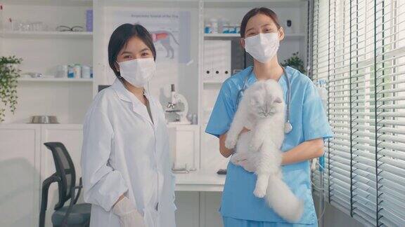 在宠物医院工作的兽医和助手的肖像专业兽医抱着小猫小猫自信地站在那里微笑着看着摄像机