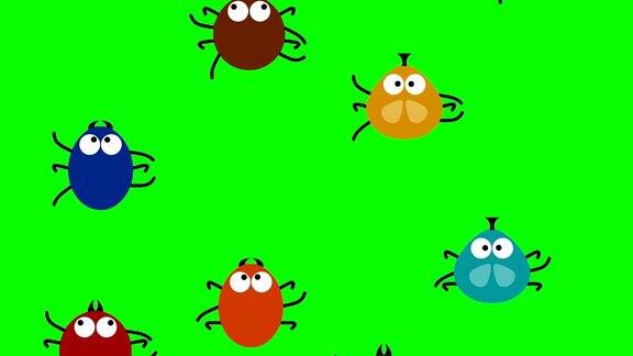 有趣的彩色昆虫爬上绿色屏幕2d动画循环