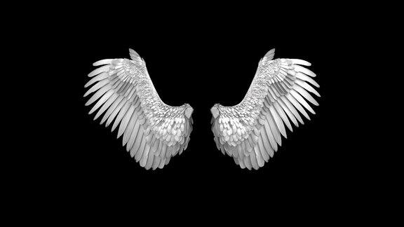 天使翅膀的循环