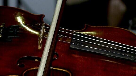 小提琴现场音乐会与妇女的手演奏小提琴的特写