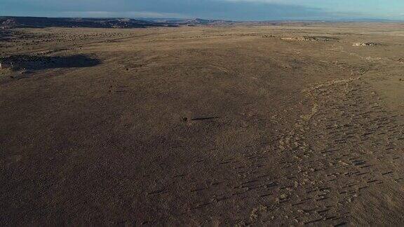 拉古纳附近的沙漠离阿尔伯克基新墨西哥州冬天用无人机拍摄全景视频环绕摄像头旋转运动