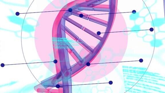 动画医学数据处理和dna链纺丝