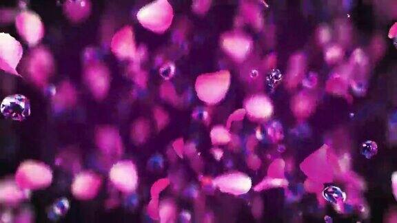 在4K慢镜头中玫瑰花瓣和水滴一起跳跃