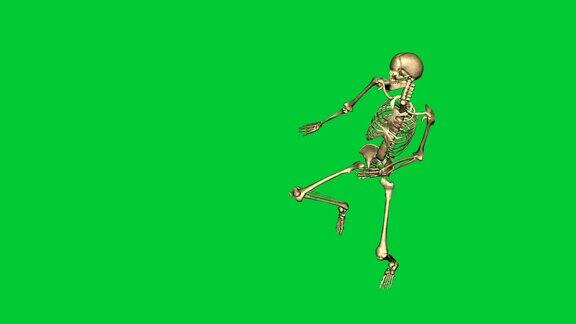 空手道骨骼运动的3d动画-在绿色屏幕上分离